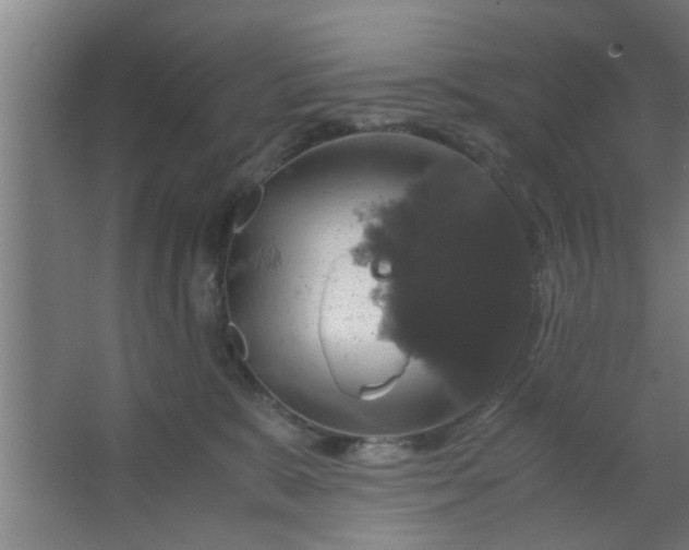 X0000063460327200602031840