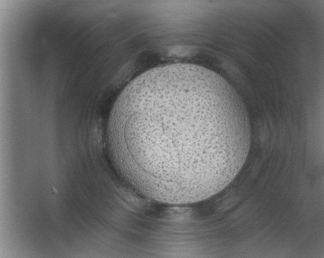 X0000063460328200602031840