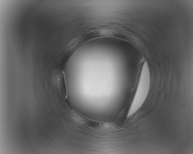 X0000063460329200602031840