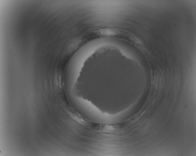 X0000063460330200602031840