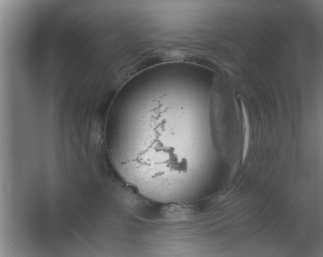 X0000063460331200602031840