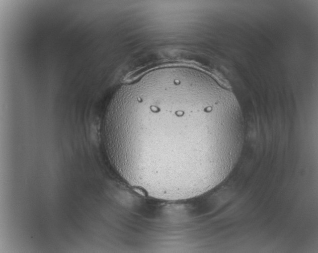 X0000063460332200602031840