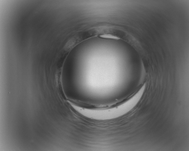 X0000063460333200602031840