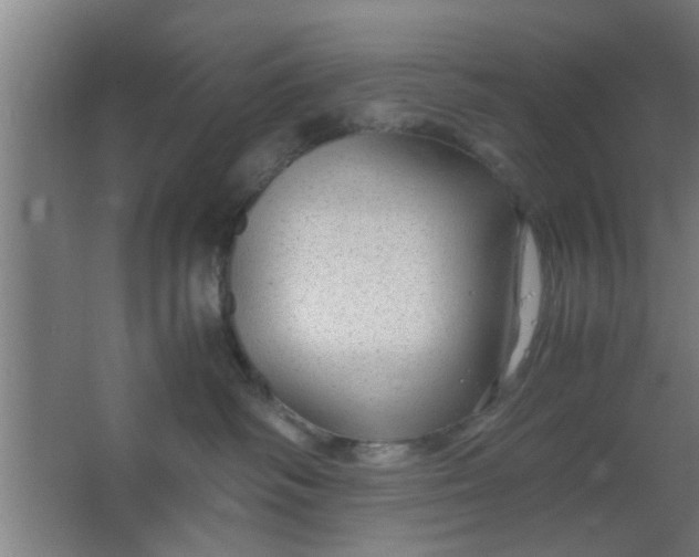 X0000063460334200602031840