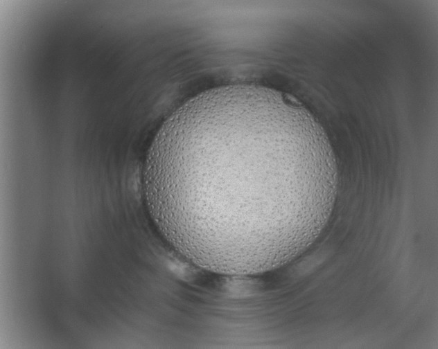 X0000063460336200602031840