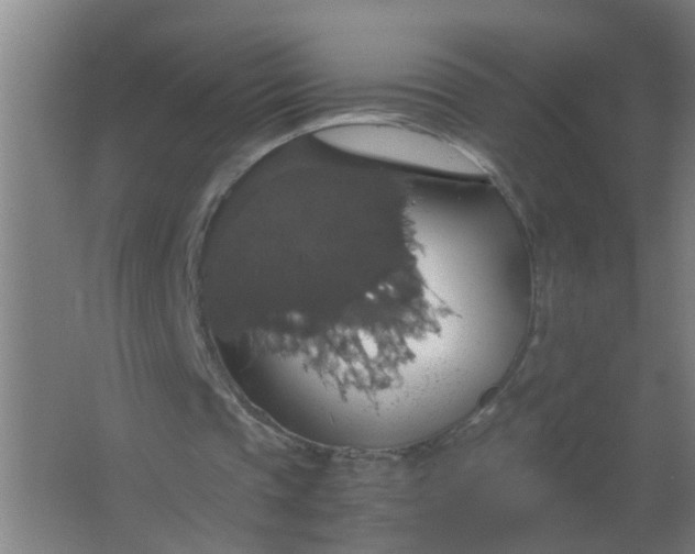 X0000063460337200602031839