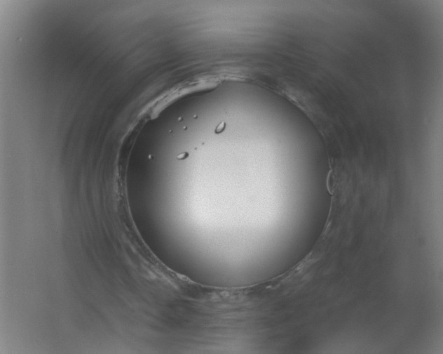 X0000063460338200602031839