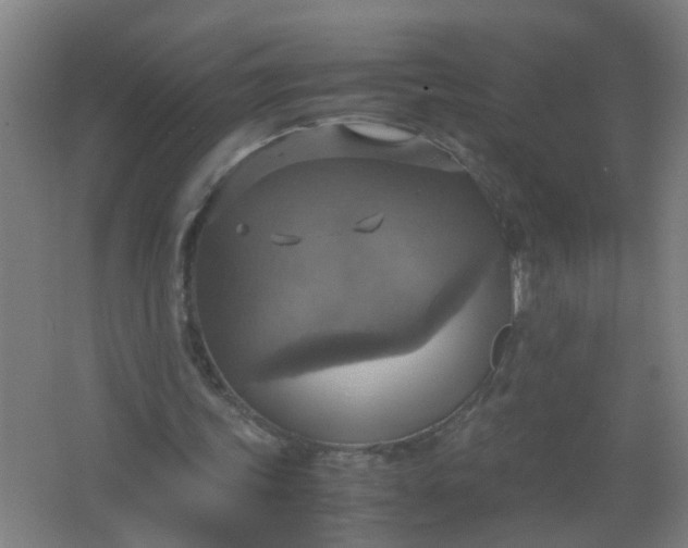 X0000063460339200602031839