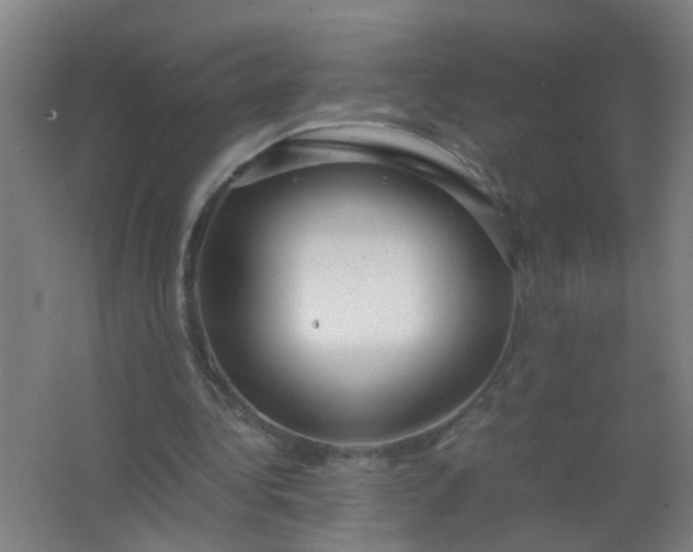 X0000063460340200602031839