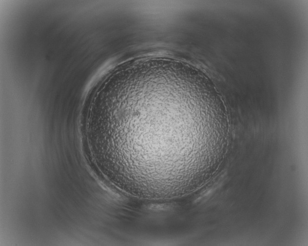 X0000063460341200602031839