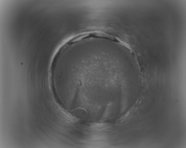 X0000063460342200602031839