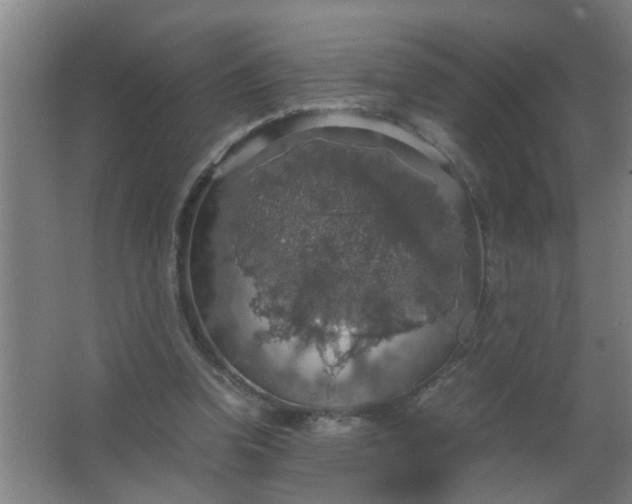 X0000063460346200602031839