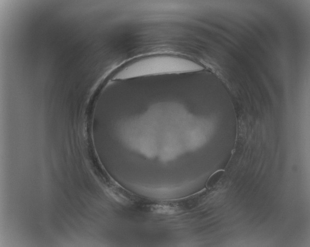 X0000063460347200602031839