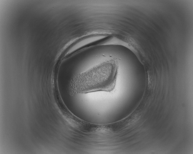 X0000063460348200602031839