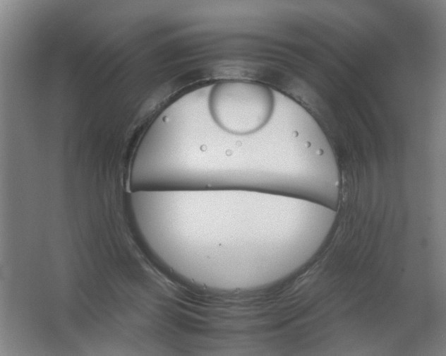 X0000063460349200602031839