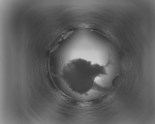 X0000063460359200602031840