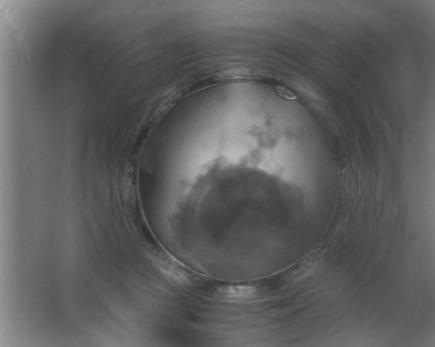 X0000063460361200602031840