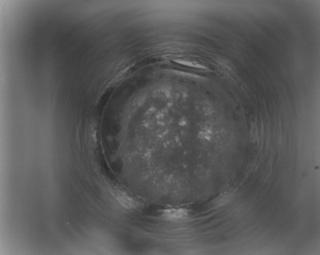 X0000063460363200602031840