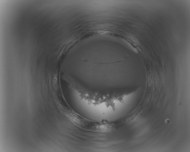 X0000063460365200602031840