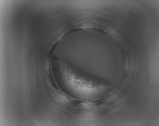 X0000063460367200602031840