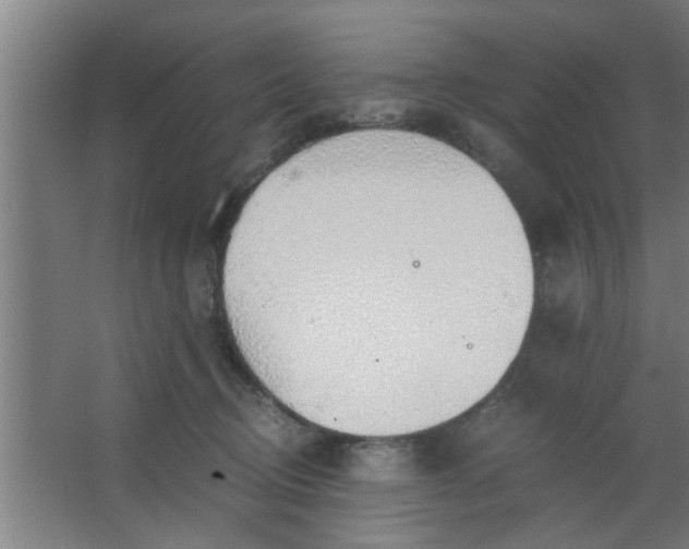 X0000063460370200602031840