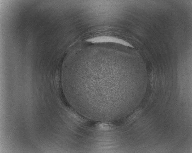 X0000063460372200602031840