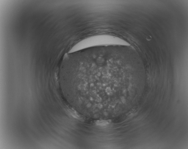 X0000063460373200602031840