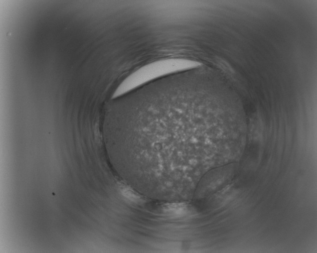 X0000063460377200602031840