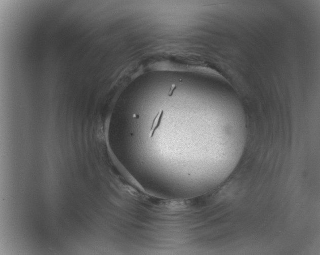 X0000063460384200602031840