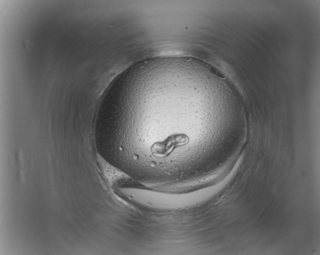 X0000063460385200602031839