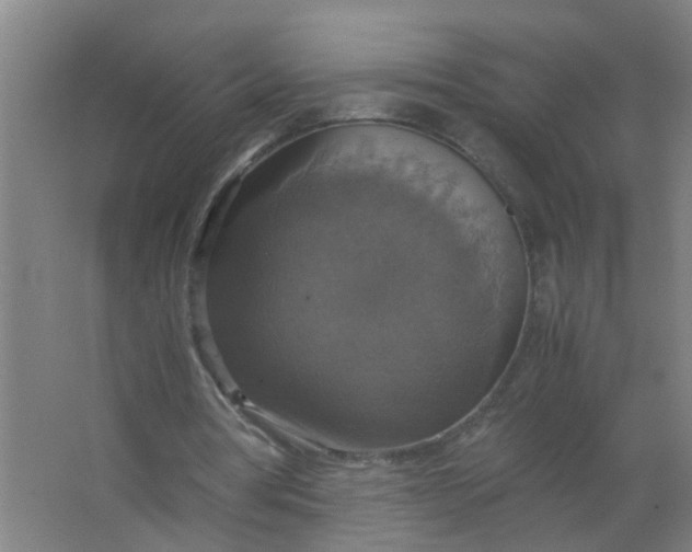 X0000063460386200602031839