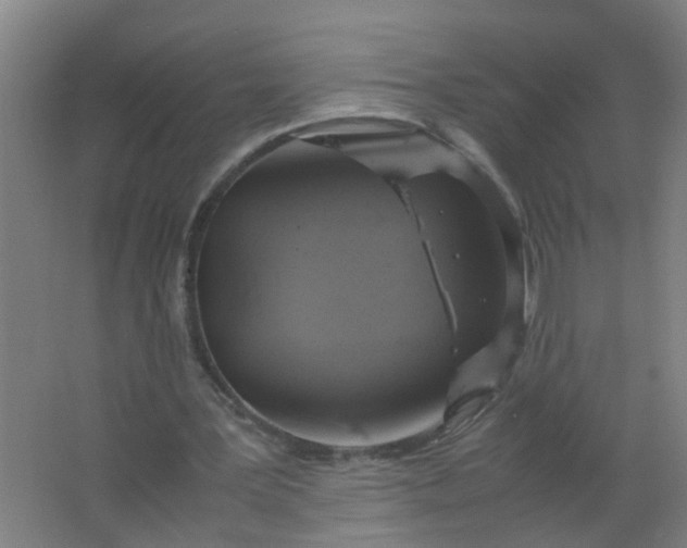 X0000063460387200602031839