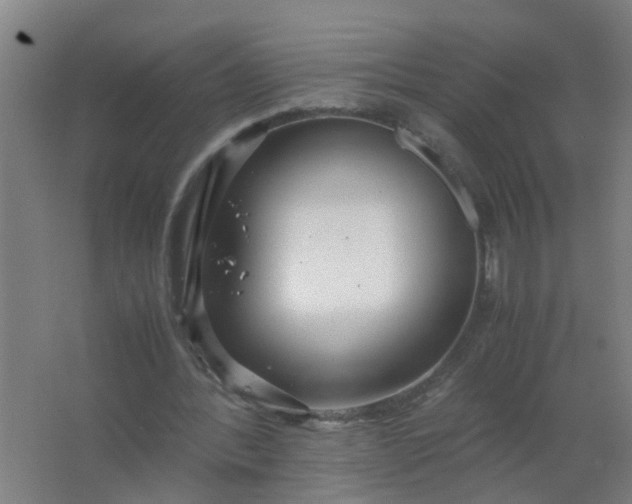 X0000063460388200602031839