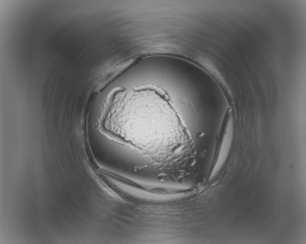 X0000063460389200602031839