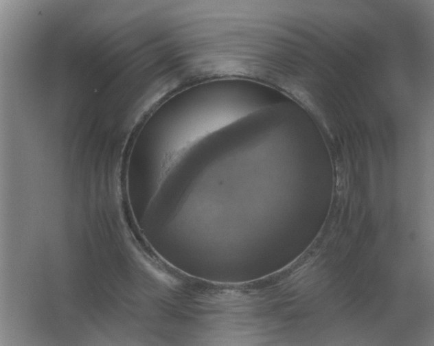 X0000063460390200602031839