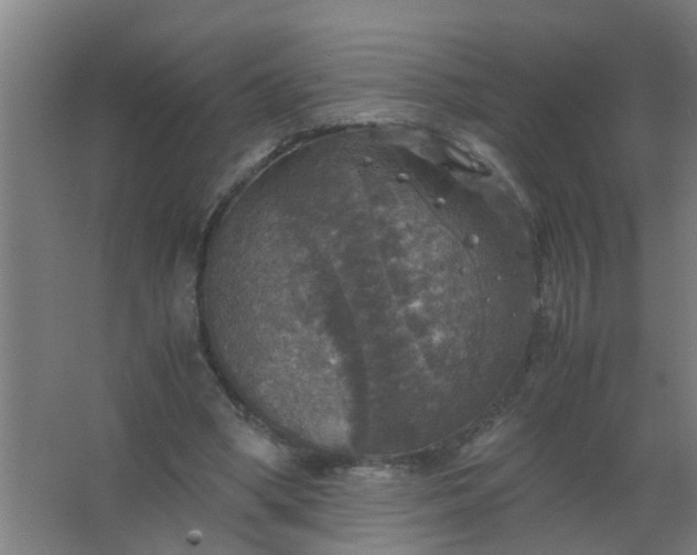 X0000063460394200602031839