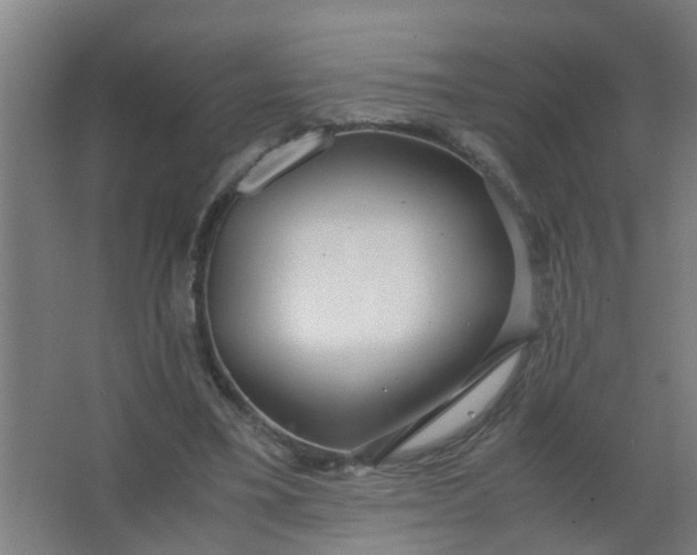 X0000063460395200602031839