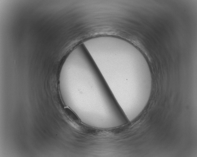 X0000063460397200602031839