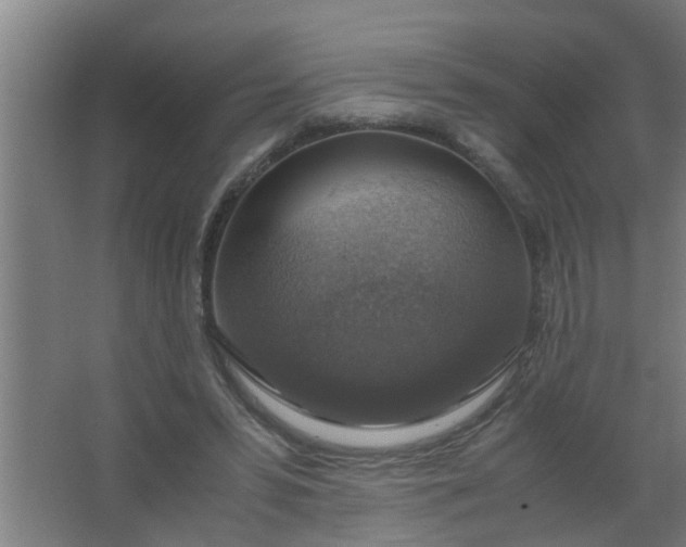 X0000063460399200602031839