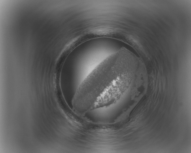 X0000063460400200602031839