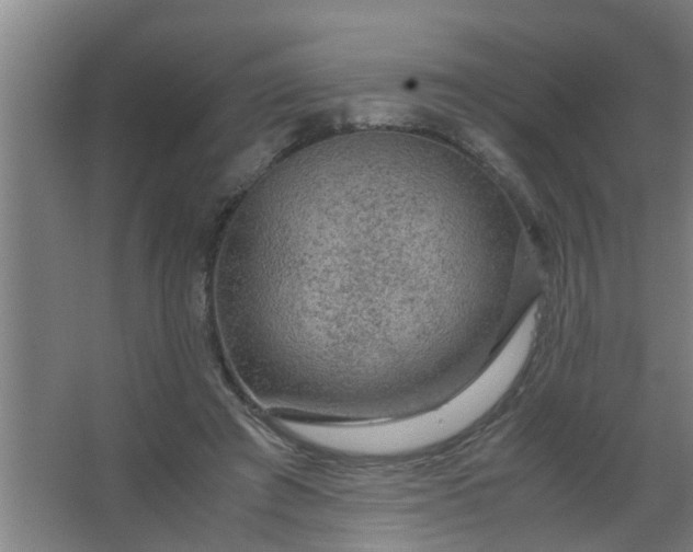 X0000063460401200602031839