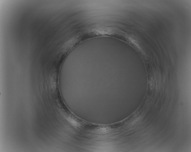 X0000063460402200602031839