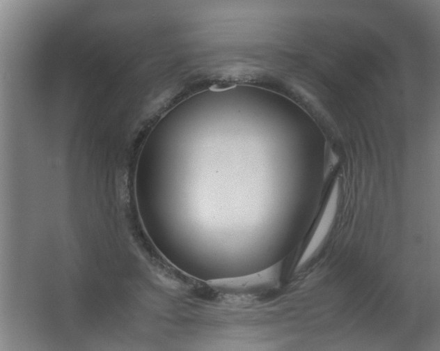 X0000063460403200602031839