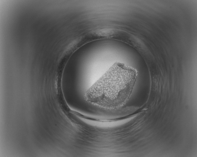 X0000063460404200602031839