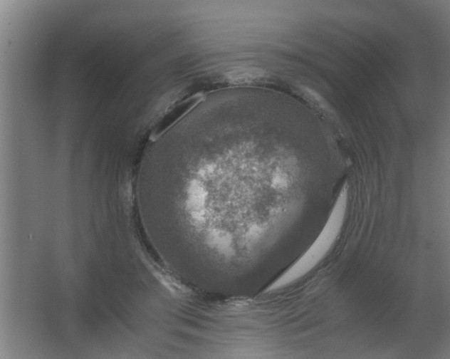 X0000063460405200602031839