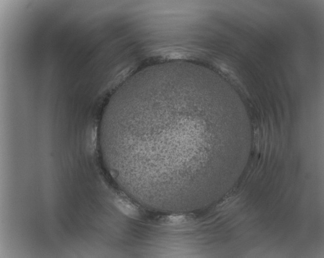 X0000063460406200602031839