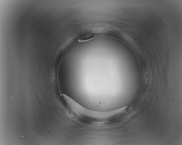 X0000063460407200602031839