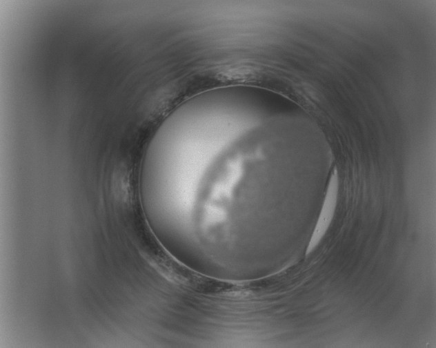 X0000063460408200602031839