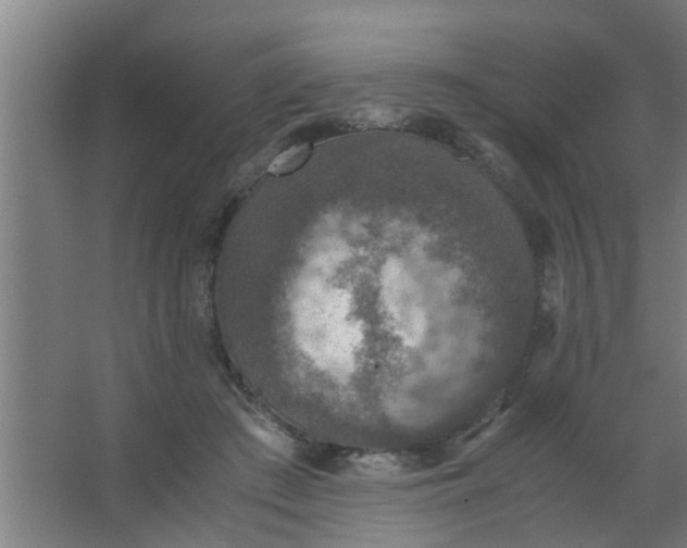 X0000063460409200602031839