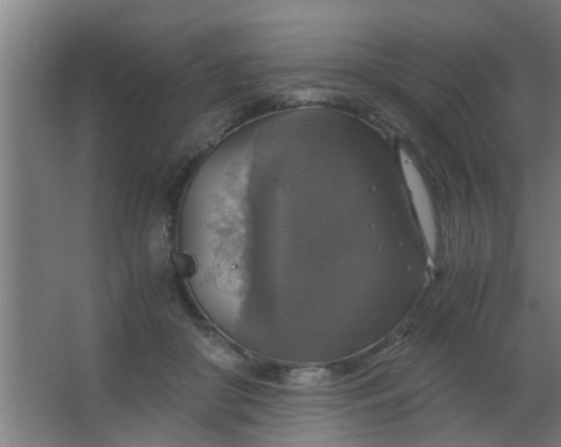 X0000063460410200602031839